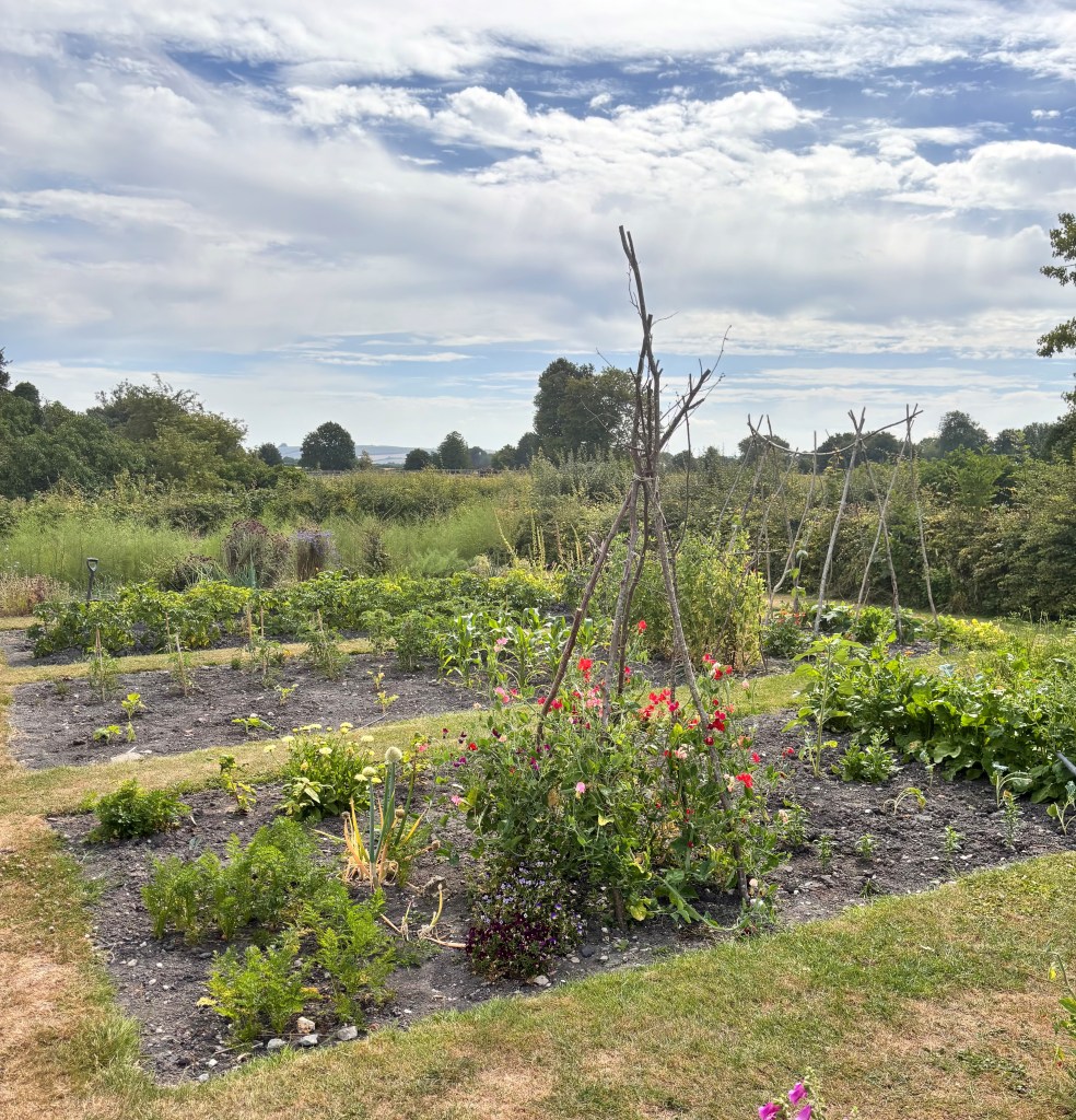 Vegetable Garden